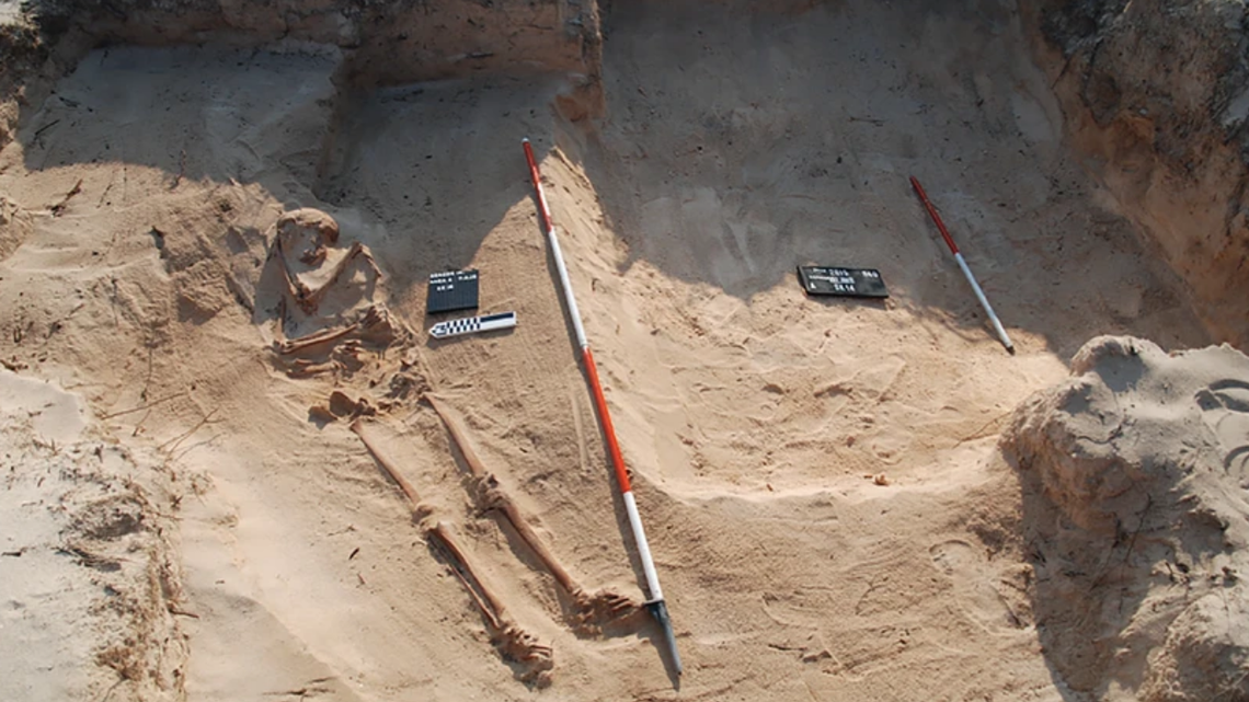 Birds Unearth Human Remains From 400-year-old Shipwreck | Bellingham Herald